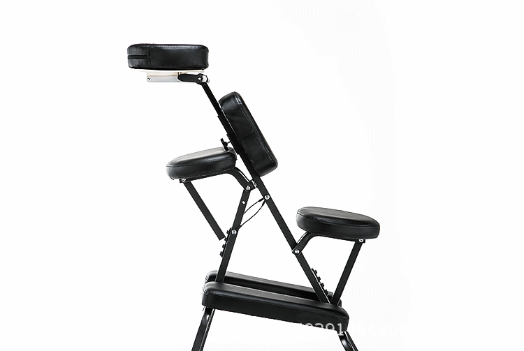 Professional Multifunctional Adjustable Tattoo Chair
