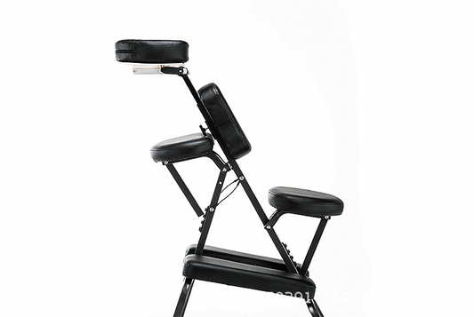 Professional Multifunctional Adjustable Tattoo Chair