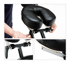Professional Multifunctional Adjustable Tattoo Chair