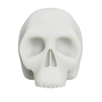 Silicone Skull Tattoo Practice Model