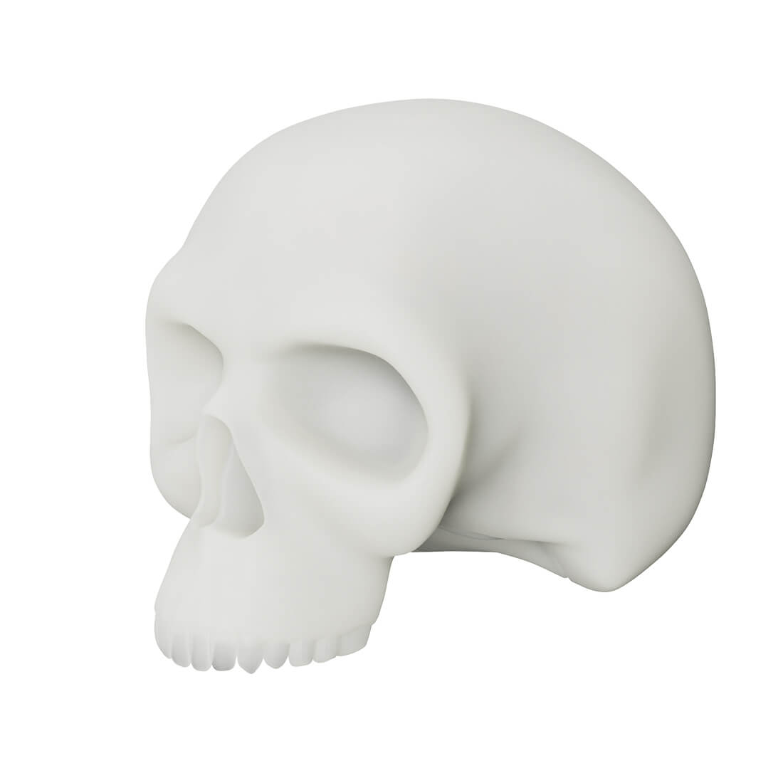 Silicone Skull Tattoo Practice Model