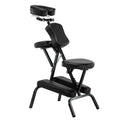 Professional Multifunctional Adjustable Tattoo Chair