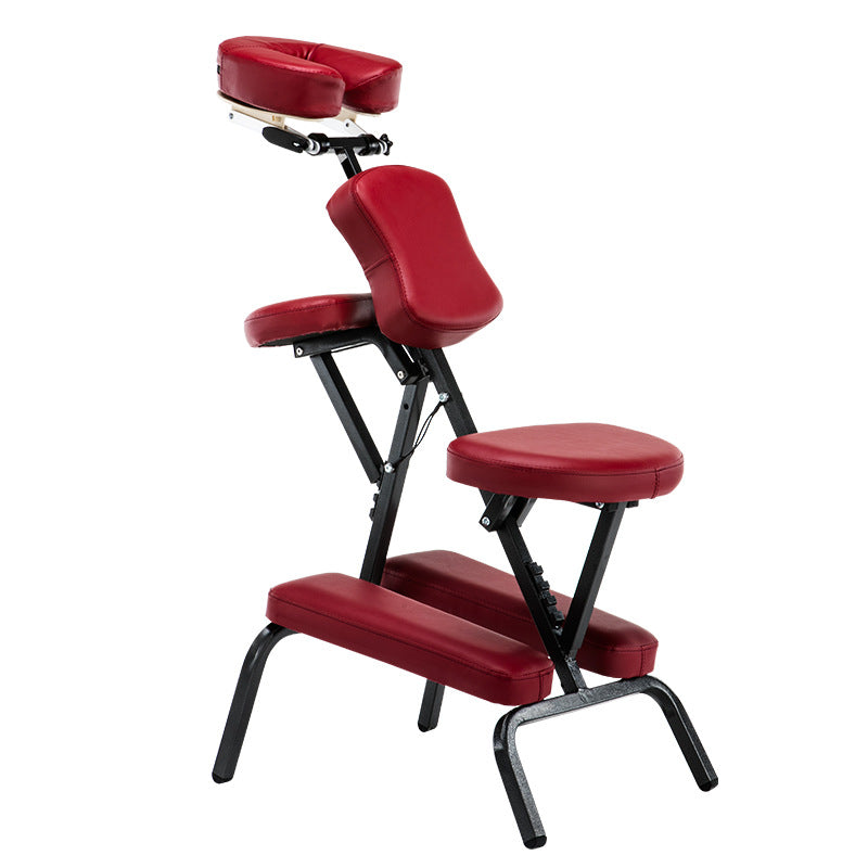 Professional Multifunctional Adjustable Tattoo Chair