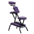 Professional Multifunctional Adjustable Tattoo Chair